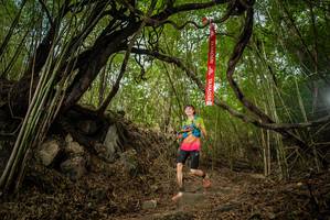 BIB: 
                            <button type="button" onclick="openModal(22177860)" class="btn btn-primary btn-sm float-right btn-popup" data-toggle="modal" data-target=".modal-high-quality">
                        <i class="fas fa-shopping-cart"></i> Add to Cart
                    </button>
                                            <button type="button" onclick="isThisMe(22177860, true)" class="btn btn-success btn-sm float-right btn-popup btn-isme hidden" data-toggle="tooltip" data-placement="bottom" title="นี่คือรูปของคุณใช่ไหม คลิกที่นี่เพื่อเอาเข้าอัลบั้ม">
                        <i class="fas fa-plus"></i> Add to album
                    </button>
                    <button type="button" onclick="isThisMe(22177860, false)" class="btn btn-warning btn-sm float-right btn-popup btn-isnotme hidden">
                        <i class="fas fa-ban"></i> Remove from album
                    </button>